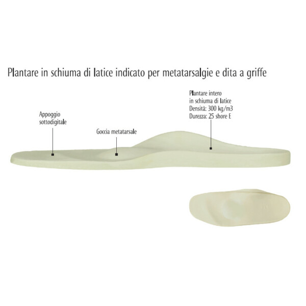 Plantare per patologie varie 314